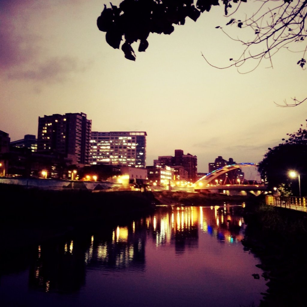 臺北大縱走第八段_2071399