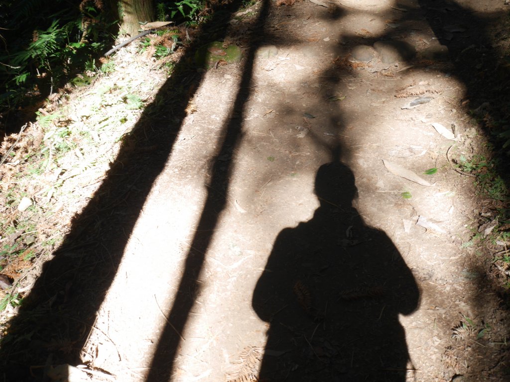 20210104｜馬那邦山_1275776