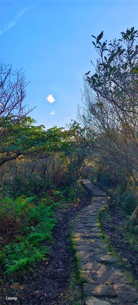 磺嘴山 112.01.14_1993986