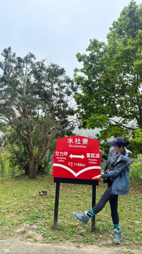 雲嘉連峰/青年嶺/水社寮封面圖