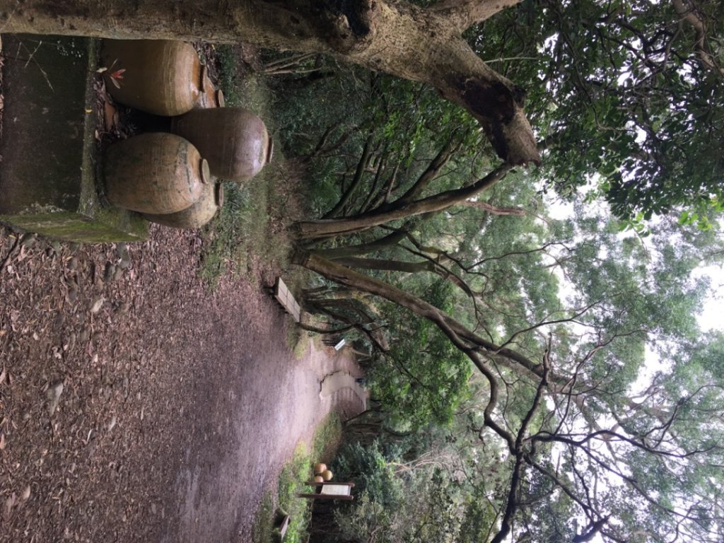 五酒桶山、南崁山_2693334