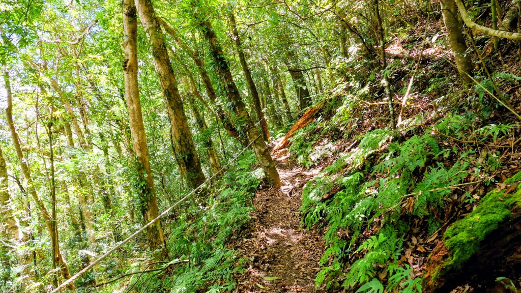 李棟山莊_2882501