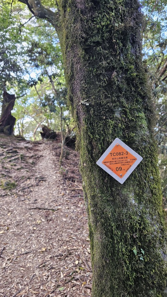 【熱門不代表輕鬆！】🔥雖說鳶嘴稍來是中部熱門登山路線，但它可不是人人都能征服的美。_2962004