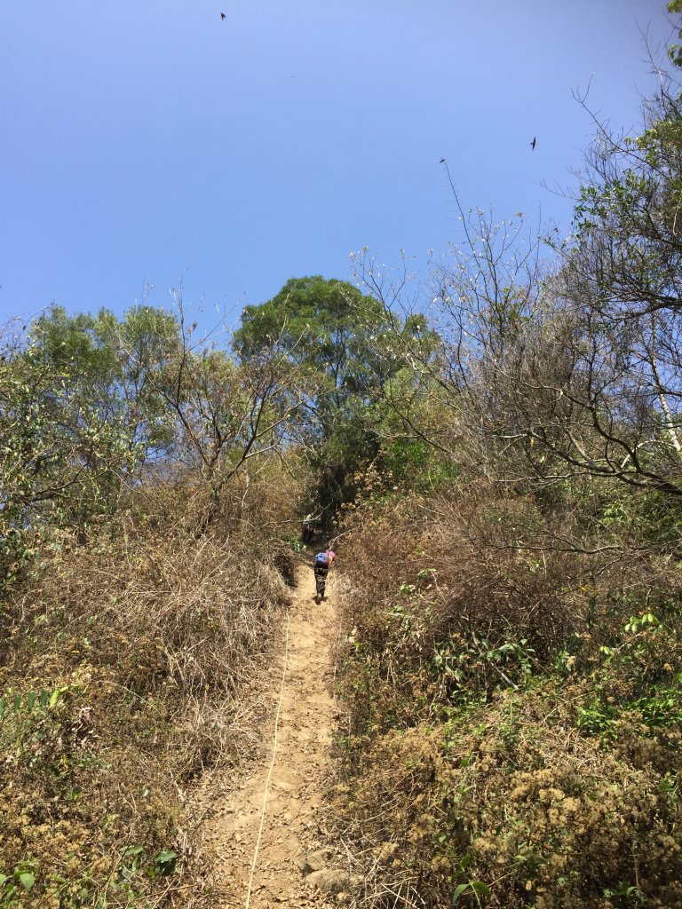 20230429高雄月茶縱走_2138486