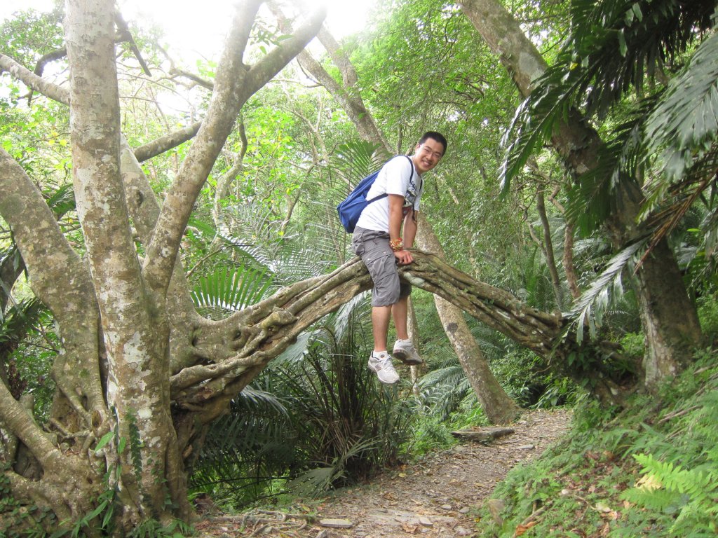 調皮搗蛋在知本_1453037