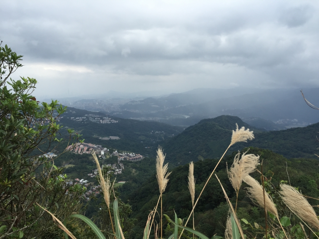 獅仔頭山登山步道（隘勇線）_77203