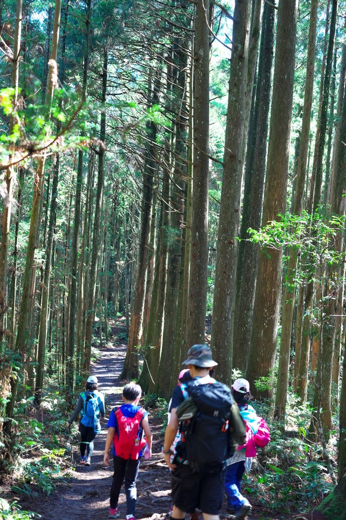 迷幻高島(高島縱走-小錦屏線)_1517529