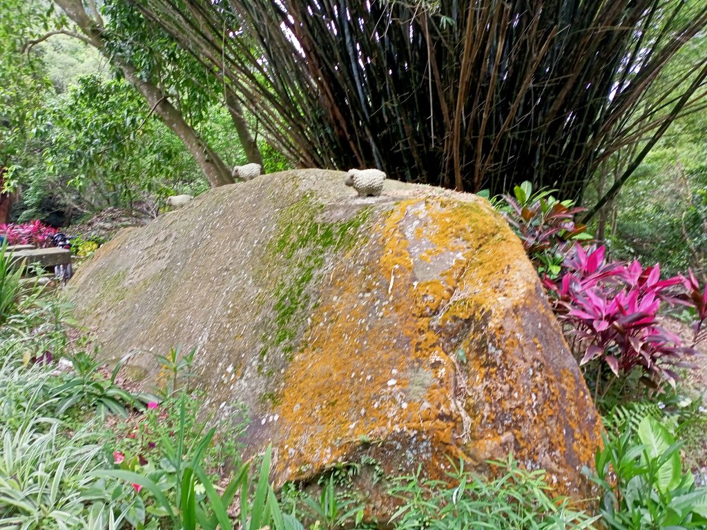【臺北大縱走 4】2-2 許願步道→碧山路→白石湖吊橋→圓覺寺步道→圓覺瀑布→大溝溪生態治水園區_2113705