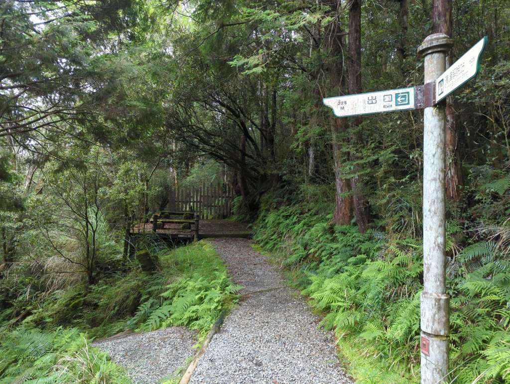 20424.06.22－翠峰湖步道_2532315