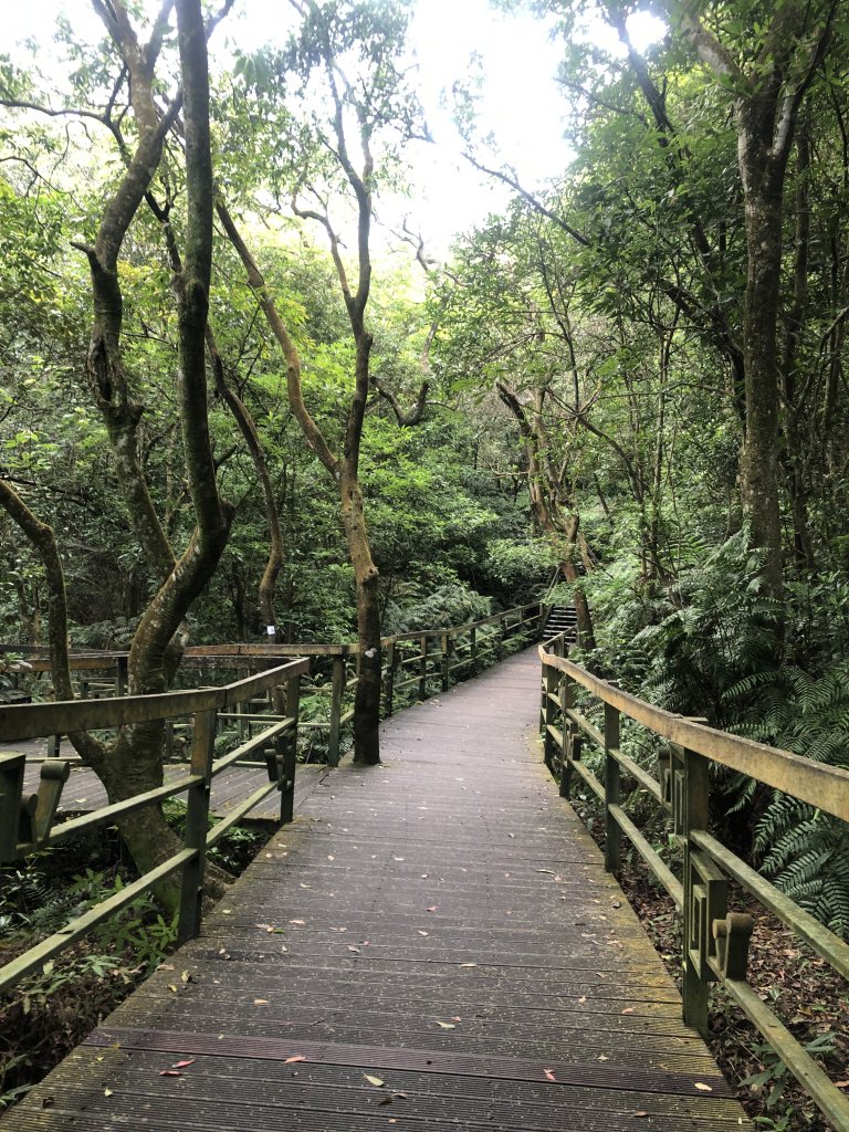 大崙頭山，親民小百岳健行_1729677
