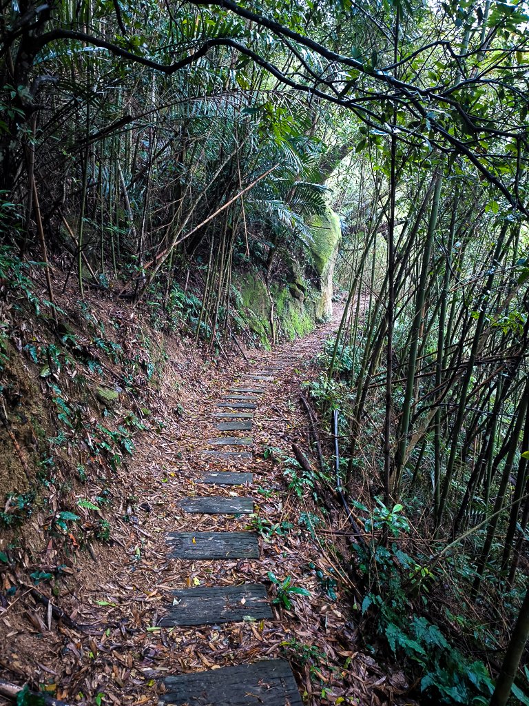 2025-03-08 汶水三山：金童山、汶水山、玉女山 連走_2736495