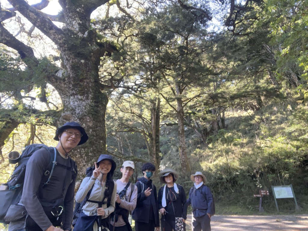 2025/08/17塔塔加、麟趾山、大鐵杉_2891613