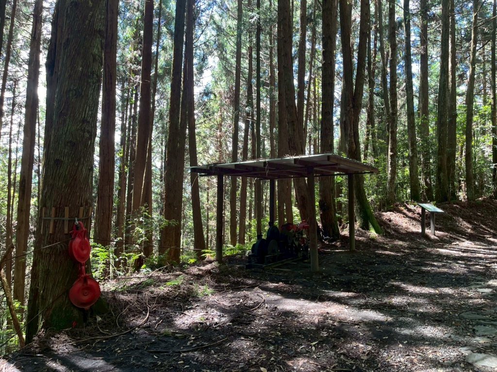 新竹 五峰 觀霧國家森林遊樂區 大鹿林道西線 榛山步道_2811376