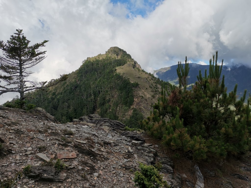 2022-07-21八大秀_1789148