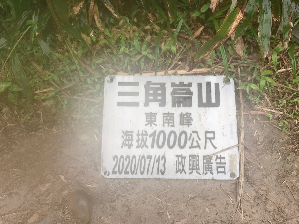 ~  三角崙山 (抹茶山)  ~_1651320