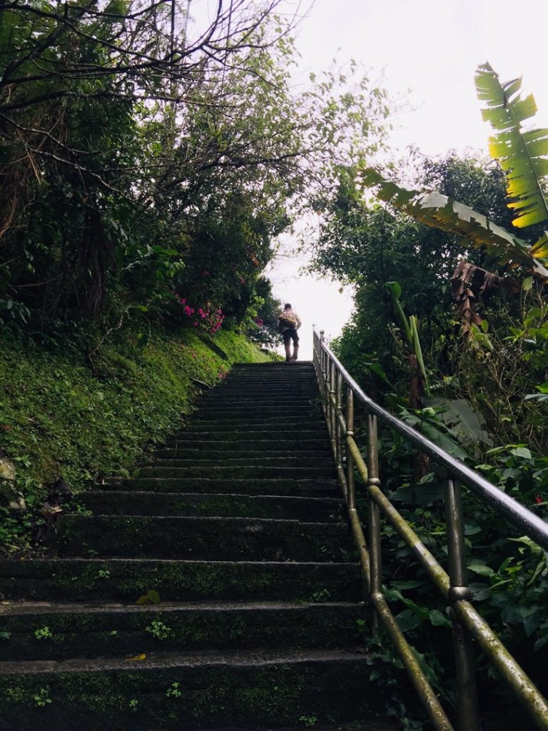 汐止大尖山-一坑古道（汐平通嶺步道）_534361