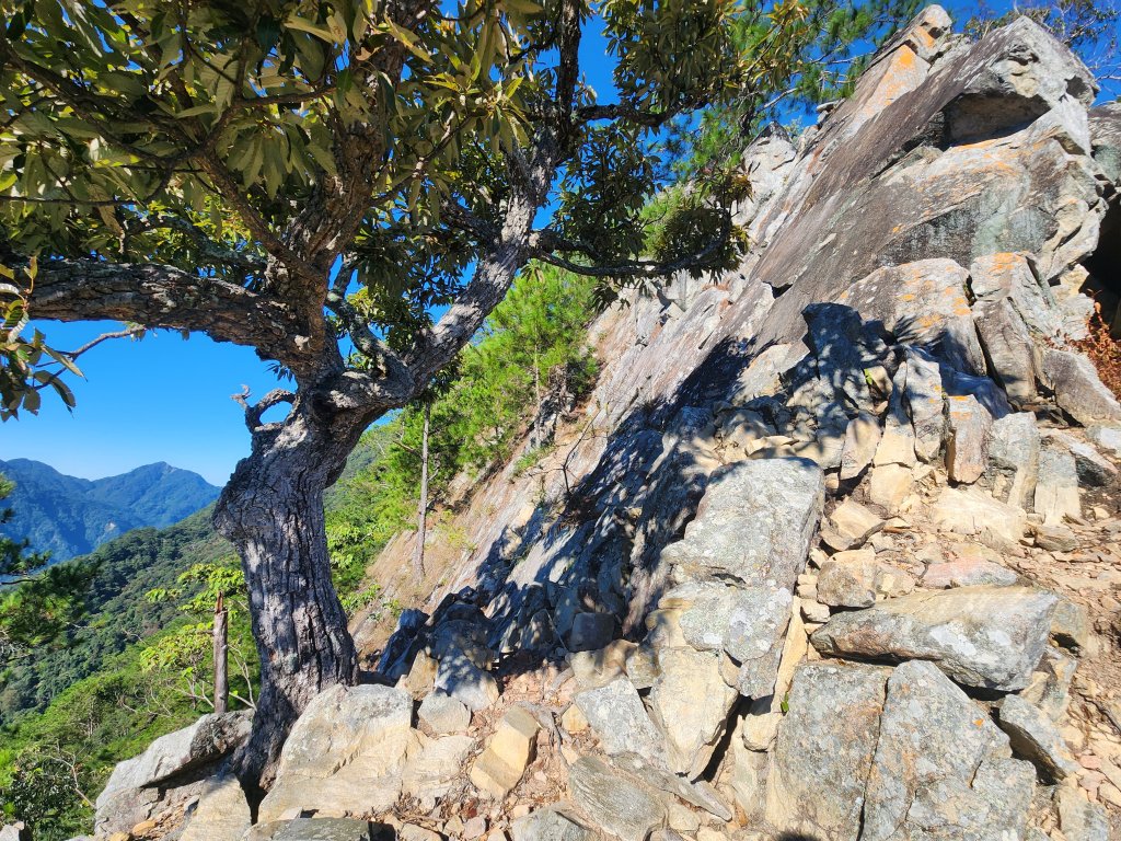 20241013東南稜上東卯山_2670983