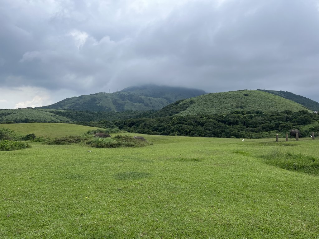 [走遍陽明山]2023_0723 擎天崗環形步道_2317527