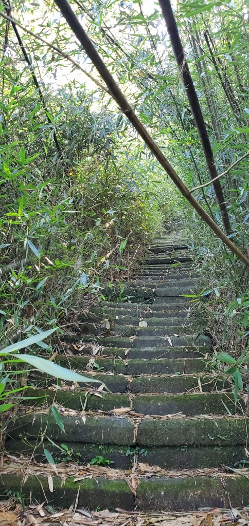 2022-09-25大湖尖山步道_1856580