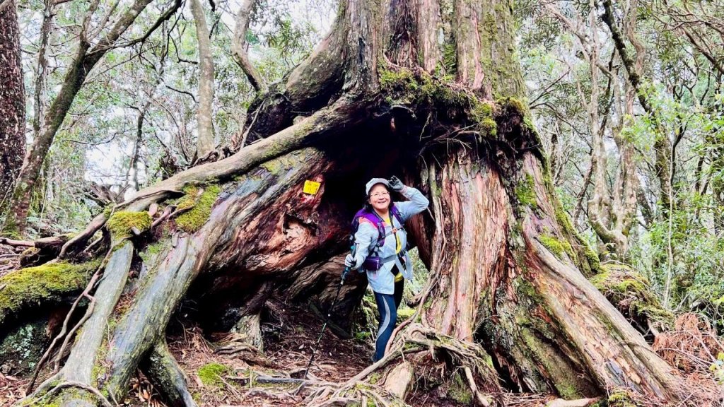 🌈4/13（日）（三）魔法森林-塔曼山~FB：熊熊趴爬走🌈_2761301