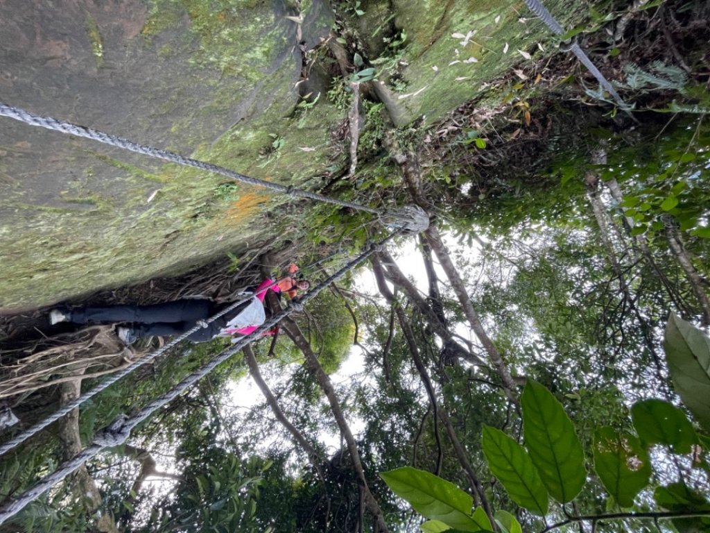 大溪金面山_1967424