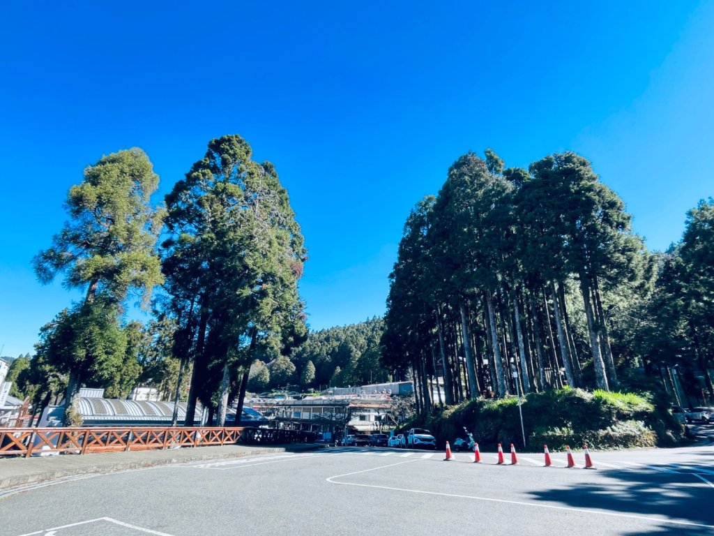 20251209 阿里山-小笠原觀景平台、祝山觀日步道封面圖