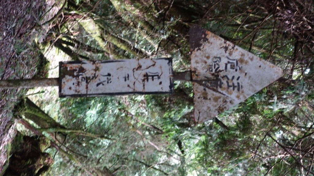 雙龍林道上巒安堂西巒大山_1778700