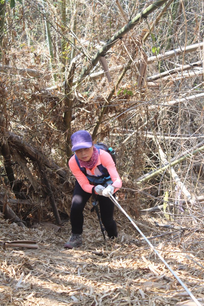 20230429高雄月茶縱走_2138470