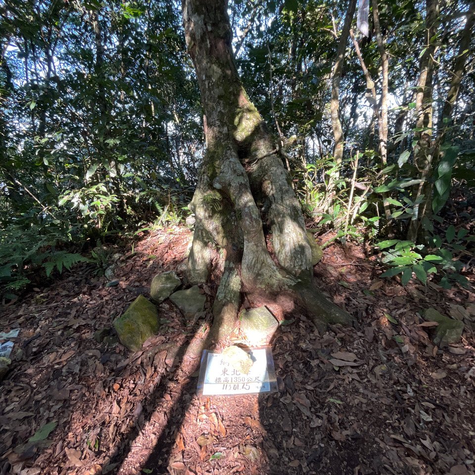 20251116_鳴海山（高雄小百岳）_2941558