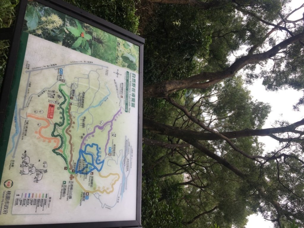 五酒桶山、南崁山_2693317