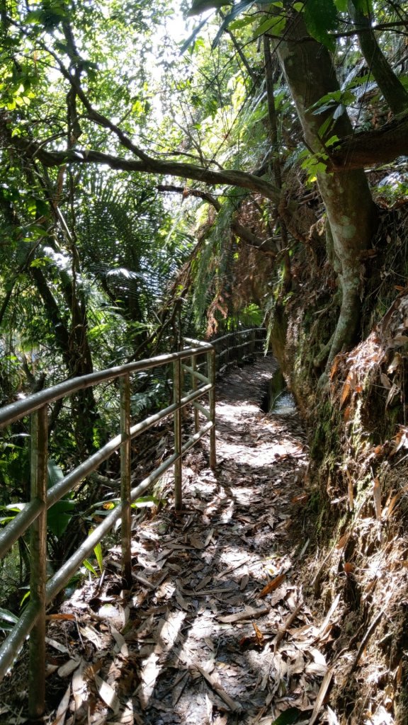 長源圳古道_819557