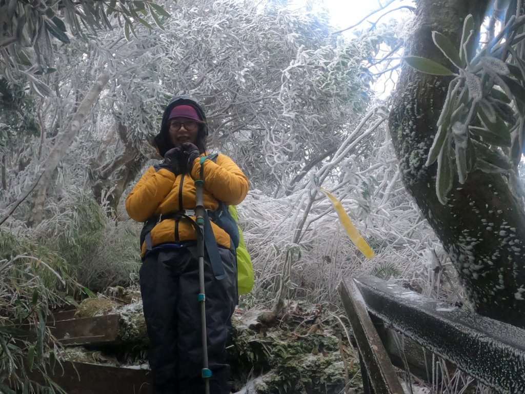 1100109魯壁山賞雪_1233843