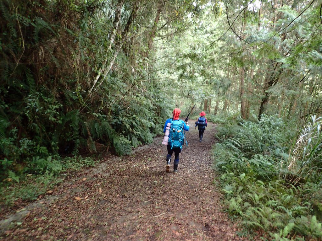 新阿溪縱走_447071