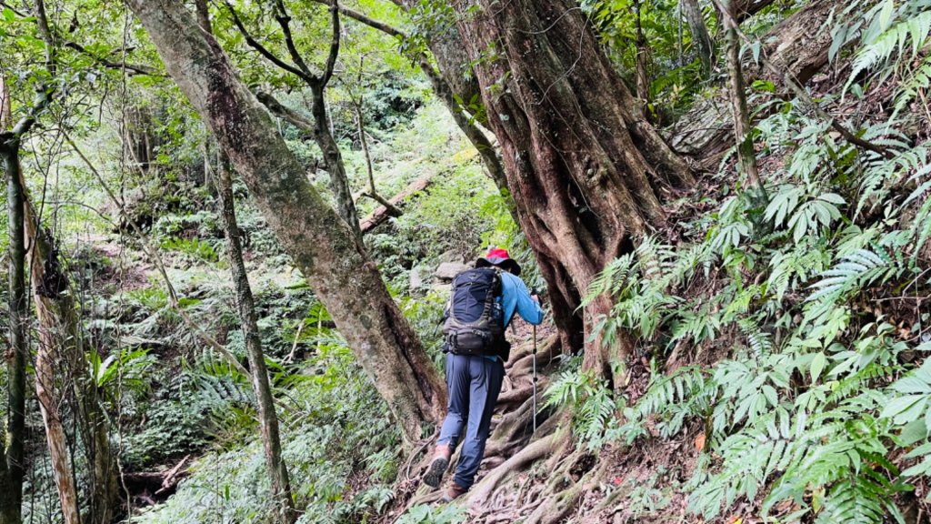 1101010拔刀爾山.美鹿山_1485241
