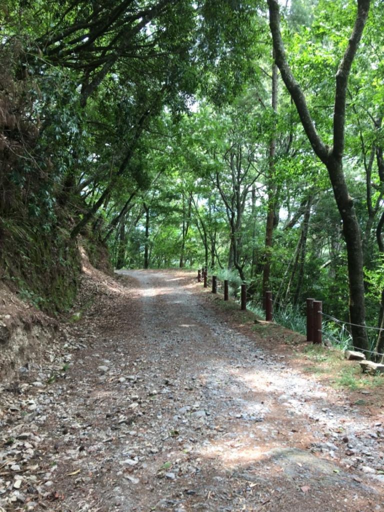 大霸群峰1/2-加利山、伊澤山_384936