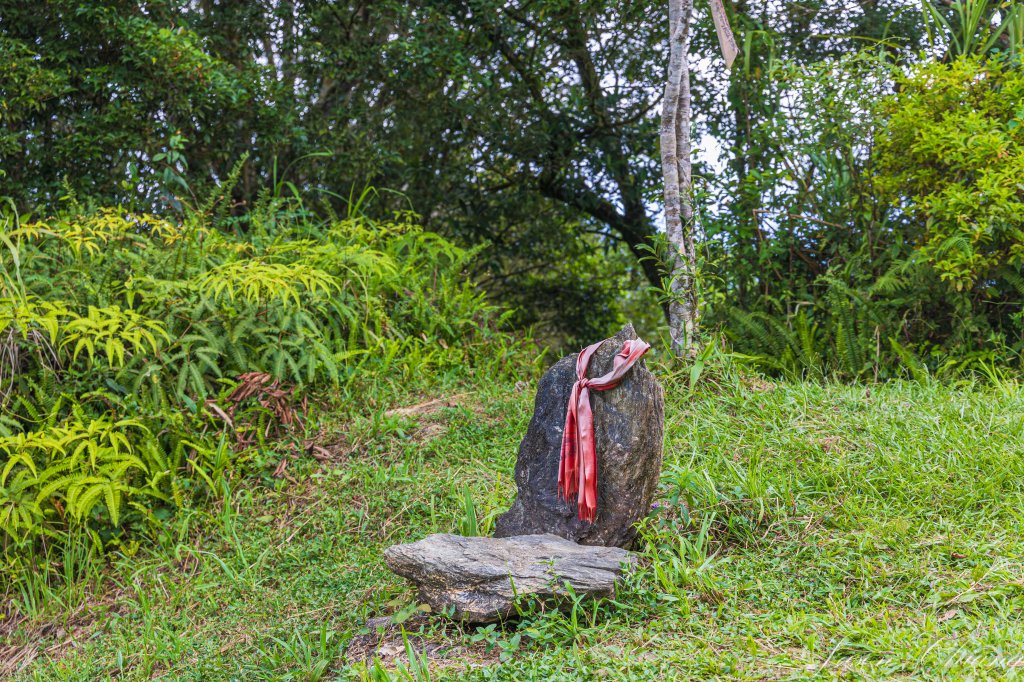 [花蓮]初音山_2551475