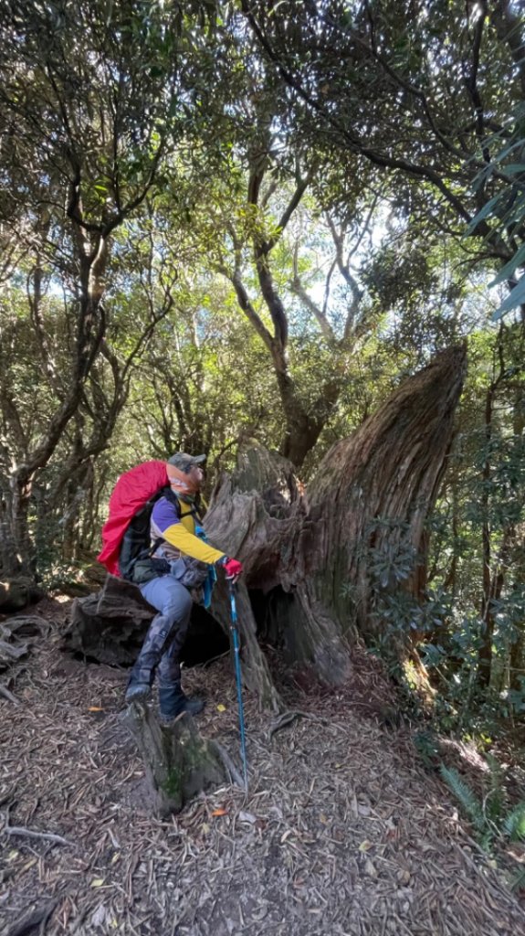 塔魔巴2天1夜來回_2357276