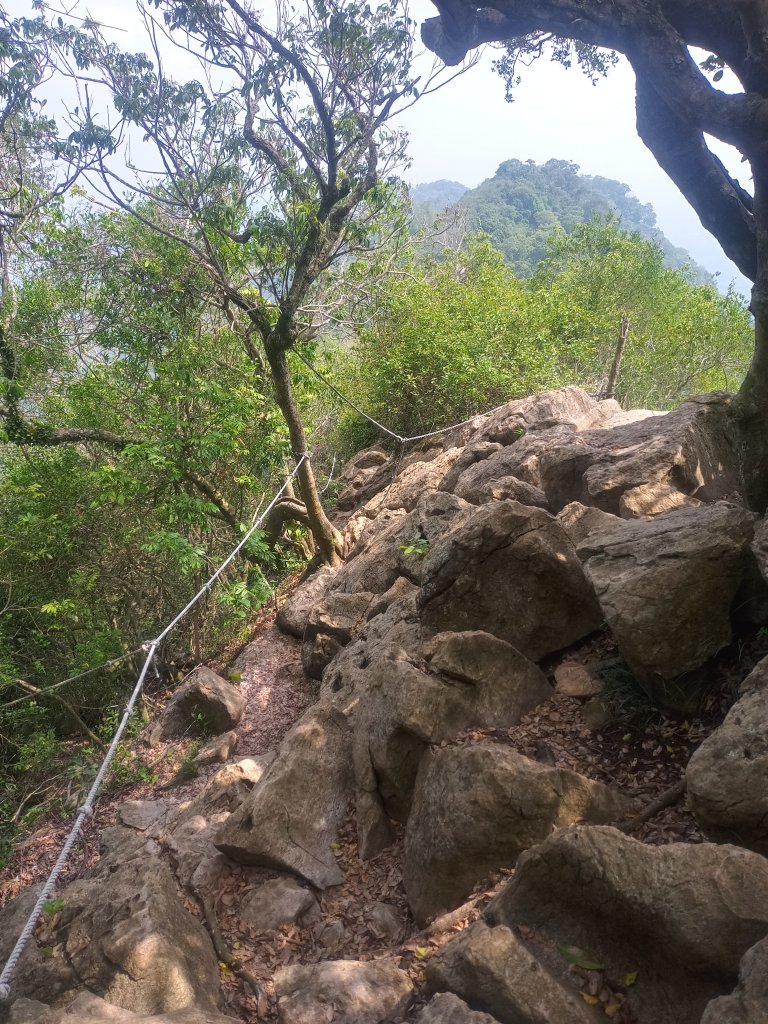 龍麟山初體驗_1717354