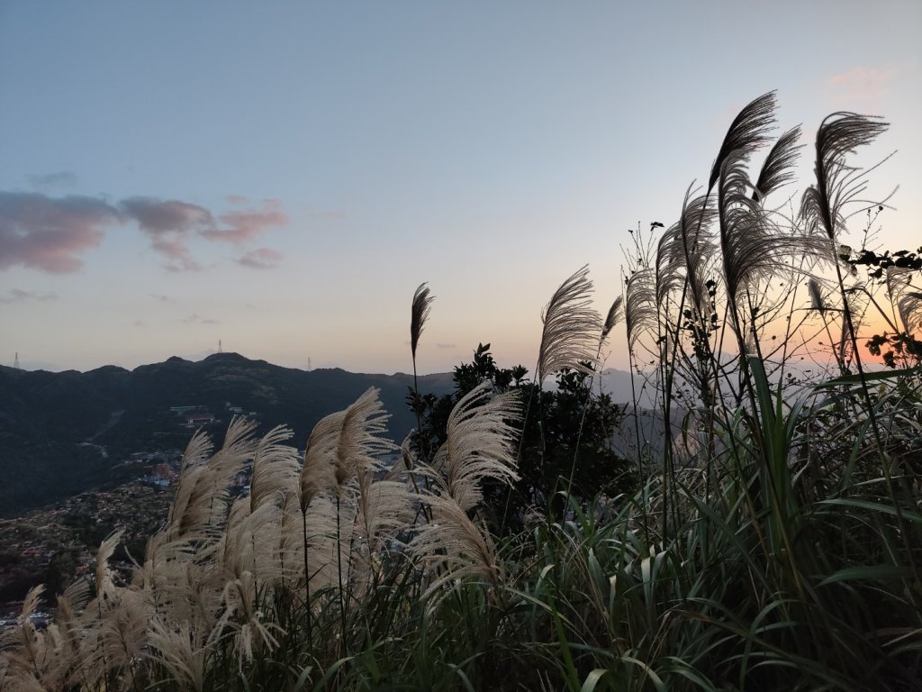 2023.11.28 基隆山_2548000