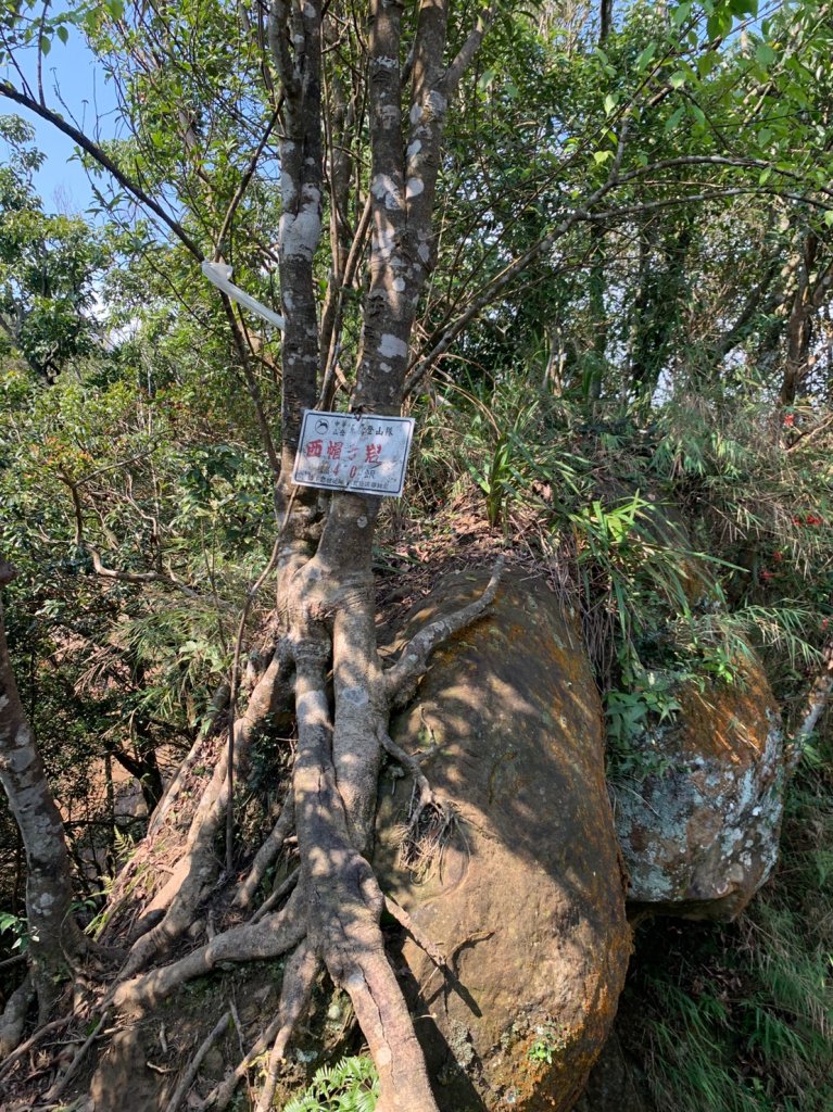 石碇-草湳(20190301)_540124