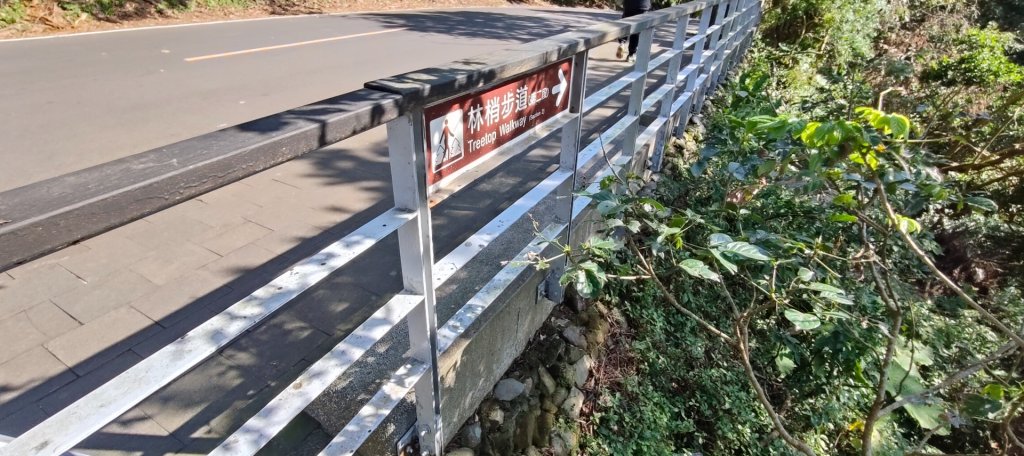 林梢步道_2700685
