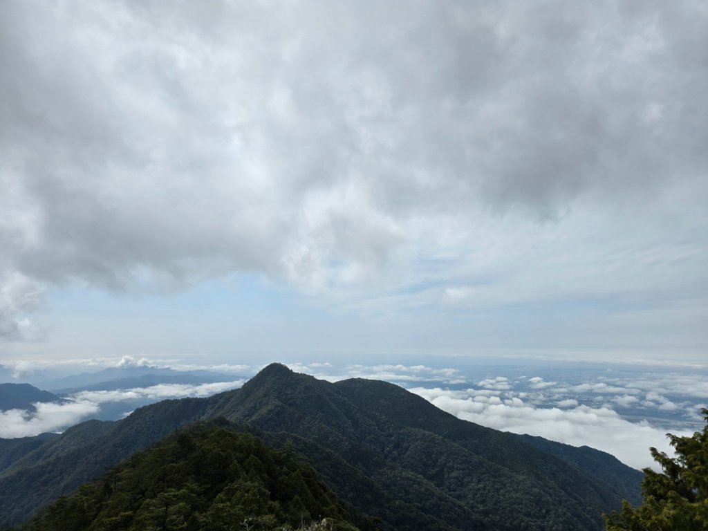 鳶嘴山+稍來神木_2709873