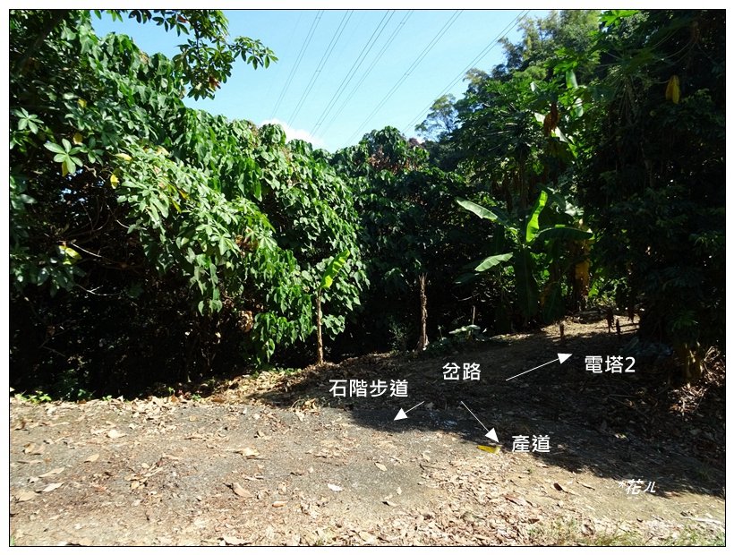 八德巷登山步道(台中/霧峰)_2368098
