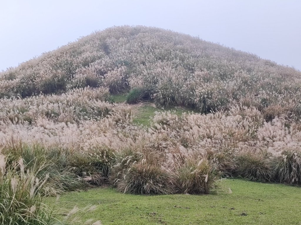 磺嘴山-陽明山國家公園_2411368