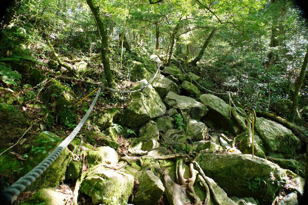 台中 和平 鳶嘴山_2926898