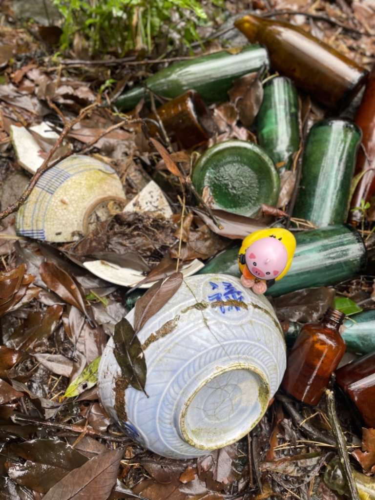 陽明山生態保護區/萬里 鹿堀坪古道-鹿堀坪山--富士坪山-富士坪古道-大尖聚落遺址O_2680657
