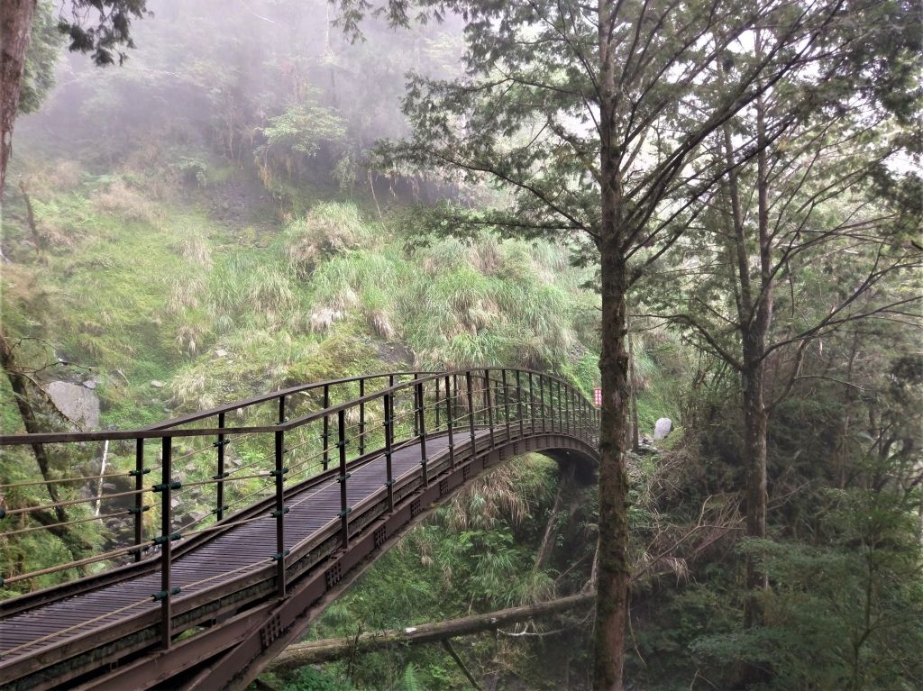 太平山見晴懷古步道_393496