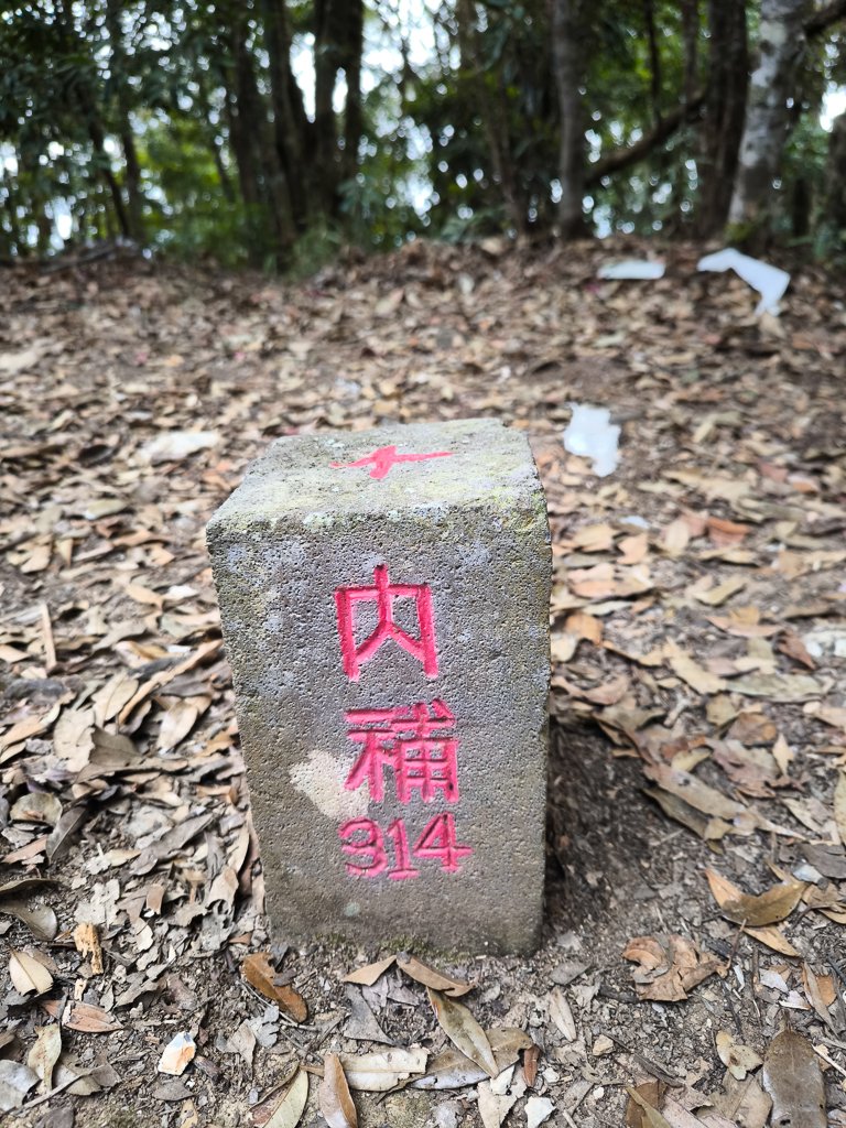 2026-01-18 埔里關刀山_2989604