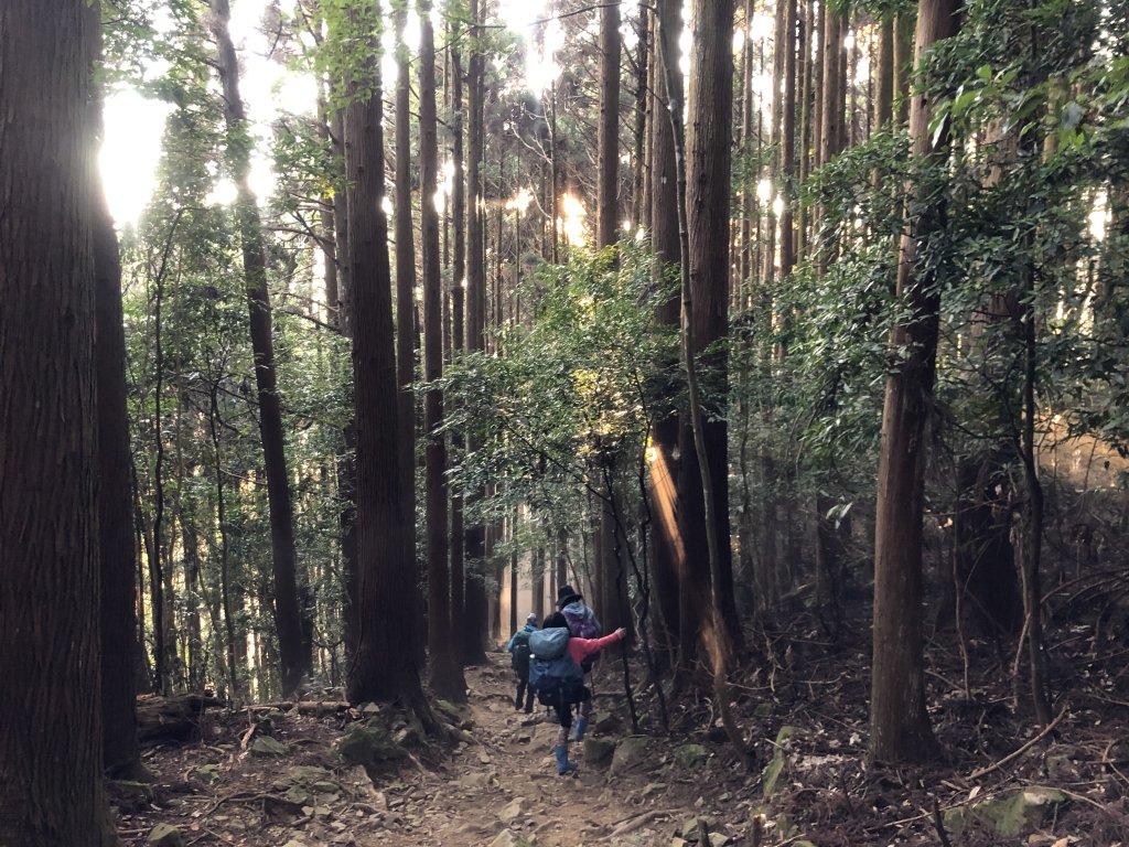 【杜鵑嶺上加里山】陪著孩子一起上山的大朋友_1349247