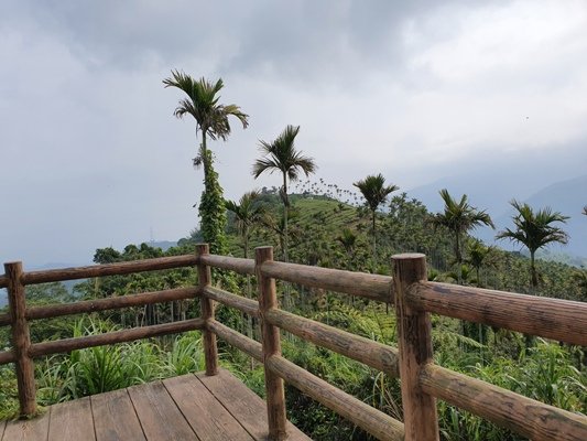 1090405後棟山連走大二尖山_908313